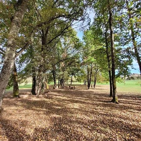 Villa Saumoniere I Bords De Dordogne Lanzac