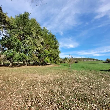 Saumoniere I Bords De Dordogne Lanzac