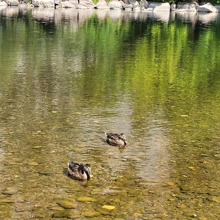 Saumoniere I Bords De Dordogne Villa